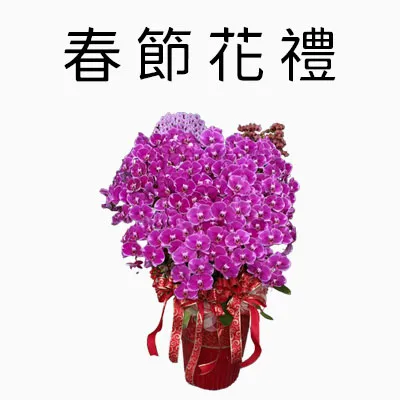春節花禮商品分類圖_m
