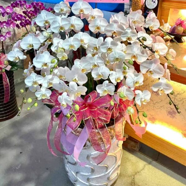 喪禮蘭花K