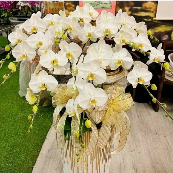喪禮蘭花B