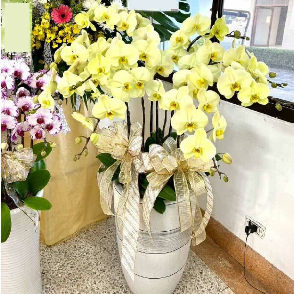 喪禮蘭花E