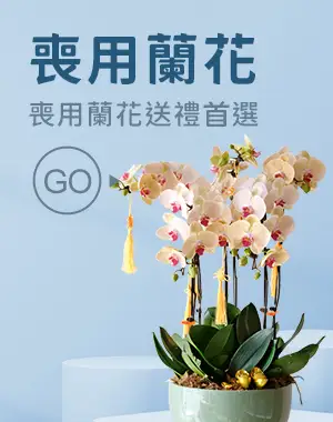 喪用蘭花_首頁圖